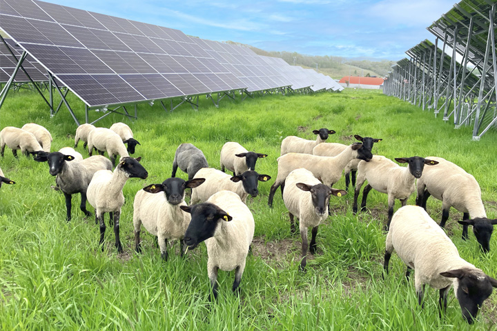 再エネ総合管理所太陽光発電所